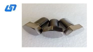 BOLTIJIET TITANIUM RAS HEXAGON DIN933
